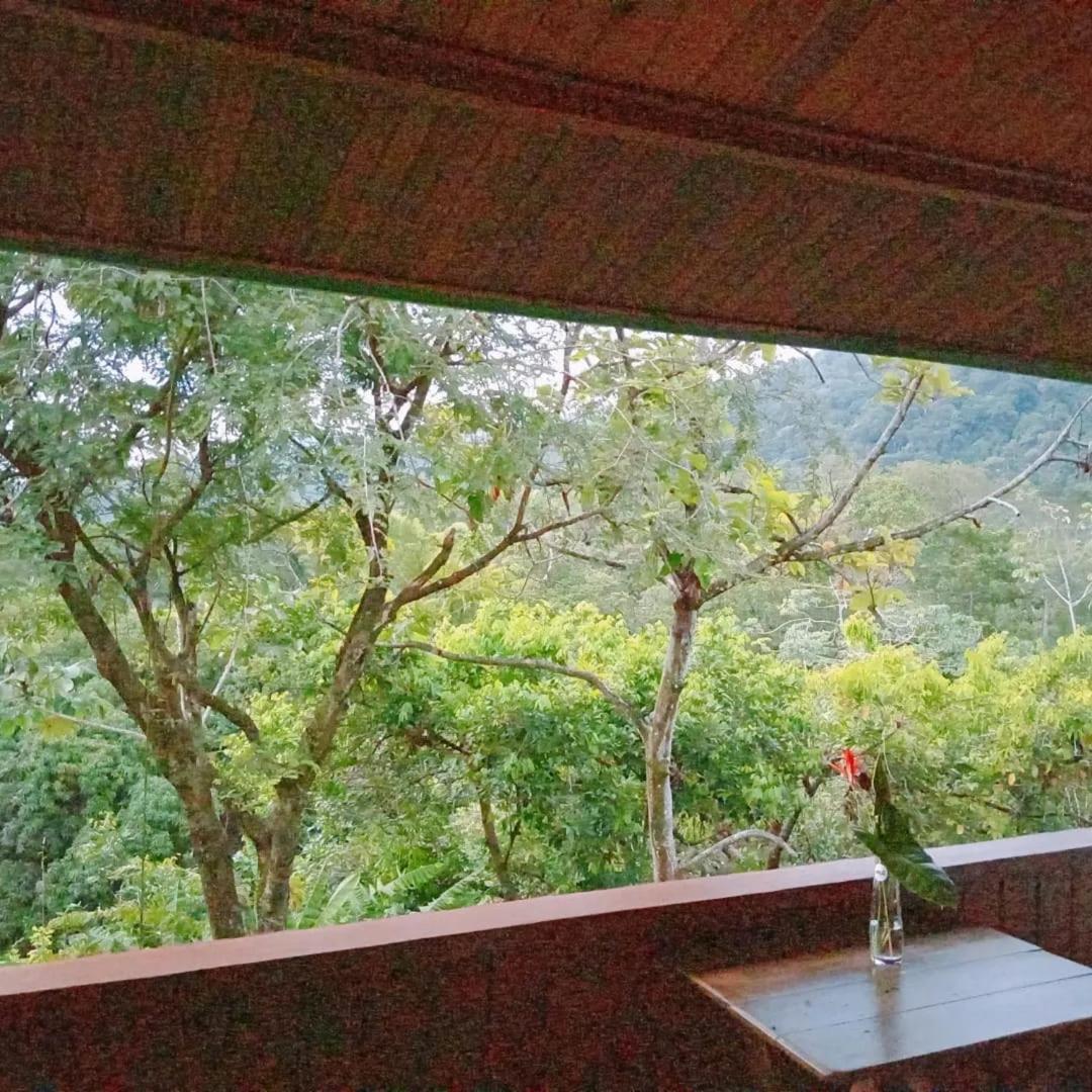 ウビタ Casa Miramarヴィラ エクステリア 写真